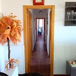 Vega
